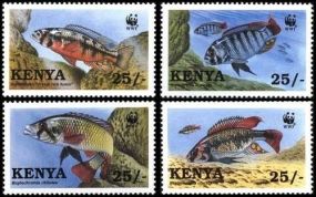 Kenya Fish  Bugs Bees Beetles Animals On Stamps FISH   Asia Stamp Collecting BRASIL Bangladesh Elephant Marine life Leopard   Spotted Deer Belize  Bear Tiger Birds of Prey Owls Hawks Eagles Animals  Stamps  Topical Stamps  Domestic Animals Rare Stamps Fly Nature Stamps stamps 1997 WWF-209