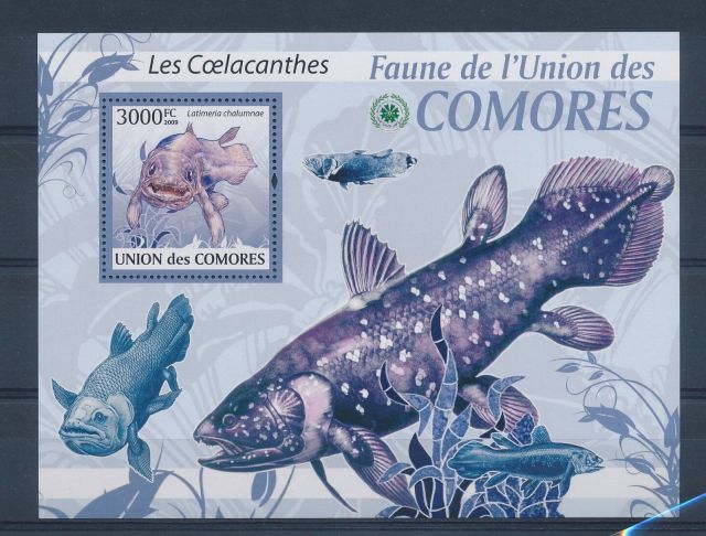 Comoro Islands 2009 - West Indian Ocean coelacanth or African coelacanth (Latimeria chalumnae)  animals on stamps fish prehistoric animal living fossil  stamp cpllecting topical stamp collection marine fish thematic stamp collector   prehistoric fish wildlife africa wild animals stamps of animals