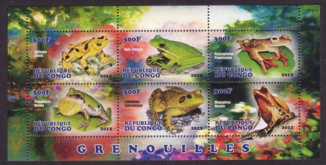 CONGO 2012 FROGS amphpbpans on stamps wildlife postage stamps frogs of africa frog postage stamps topical stamp colllecting thematic stamp collector stamp collecting hobby stamp collecting for beginners african frog postage stamps  congo africa animals on stamps wild animals on stamps wildlife on stamps frogs on stamps  frogs of the congo frogs of africa frog postage stamps of africaafrican wildlife african wild animals african amphibians africa postgae stamps  amphibian postage stamp  Anura 