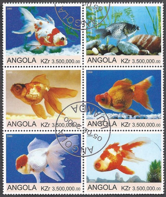 Angola - Set of Goldfish on Stamps  topical stamp collecting thematic stamp collector stamp collections wildlife postage stamps fish on stamps animals on stamps postage stamp collecting stamp collecting for beginners aquarium fish goldfish bowl stamps that show fish  collecting stamps as a hobby  wildlife on stamps african wildlife angola postage stamps