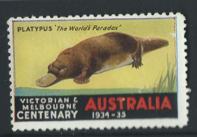 Australia Centenary Cinderella stamp 1934 1935 Victoria Melbourne duck-billed Platypus    Ornithorhynchus anatinus  zoological stamps  animals on stamps wildlife stamps Australian postage stamps topical stamp collection thematic stamp collecting mammals on stamps fauna on stamps philatelist  philatelic collection  philatelic collector stamp collecting for beginners Australian wildlife Australian fauna Australia topical stamp collecting